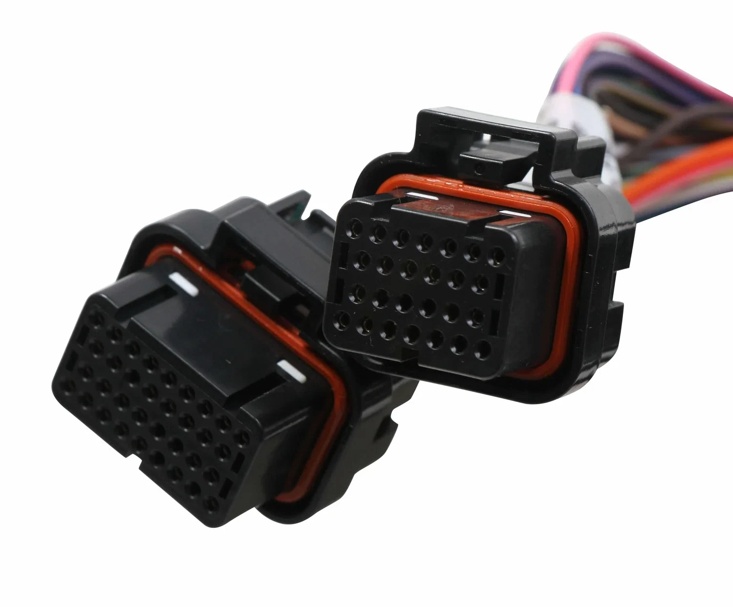 Terminator Stealth 2x4 MAIN HARNESS - 558-121